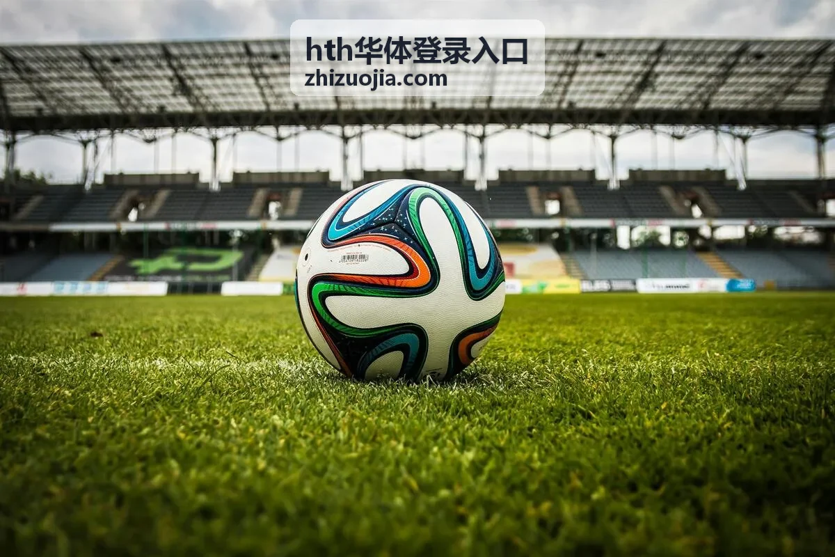 hth华体登录入口 移动端打不开的处理顺序
