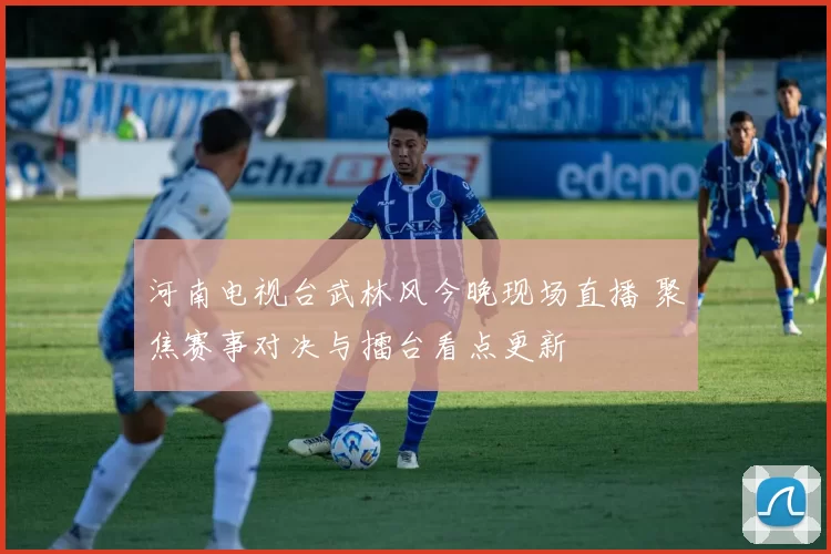 河南电视台武林风今晚现场直播 聚焦赛事对决与擂台看点更新