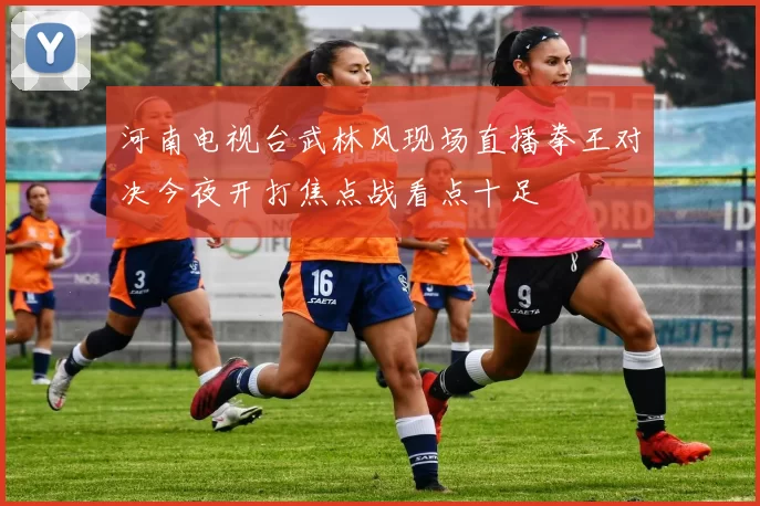 河南电视台武林风现场直播拳王对决今夜开打焦点战看点十足