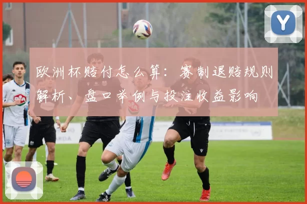 欧洲杯赔付怎么算：赛制退赔规则解析、盘口举例与投注收益影响