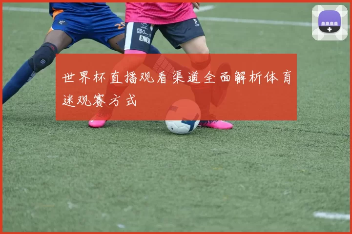 世界杯直播观看渠道全面解析体育迷观赛方式