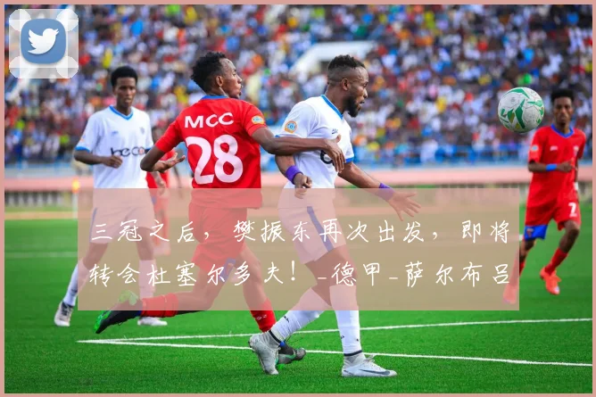 三冠之后，樊振东再次出发，即将转会杜塞尔多夫！_德甲_萨尔布吕肯_赛季