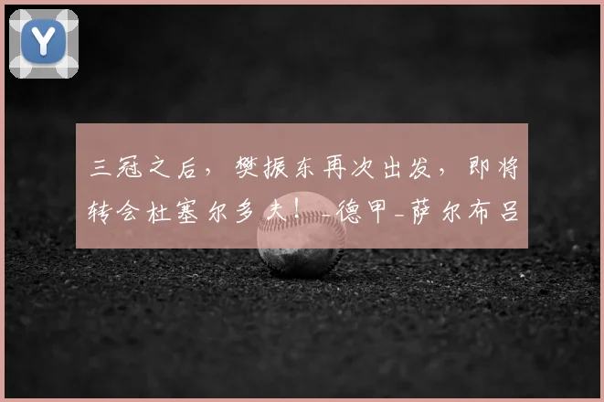 三冠之后，樊振东再次出发，即将转会杜塞尔多夫！_德甲_萨尔布吕肯_赛季