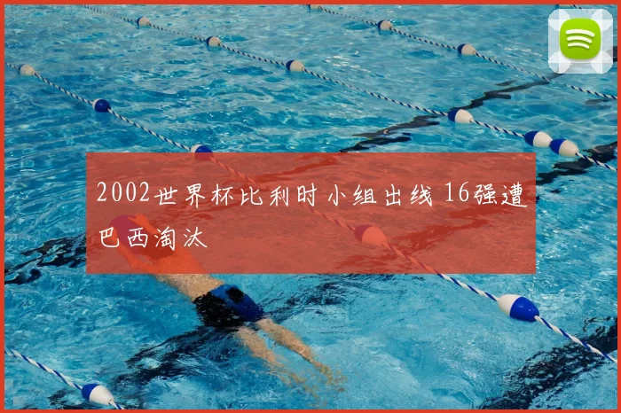 2002世界杯比利时小组出线 16强遭巴西淘汰