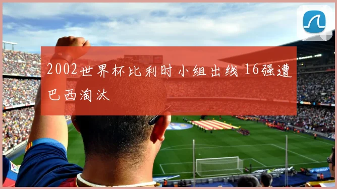 2002世界杯比利时小组出线 16强遭巴西淘汰