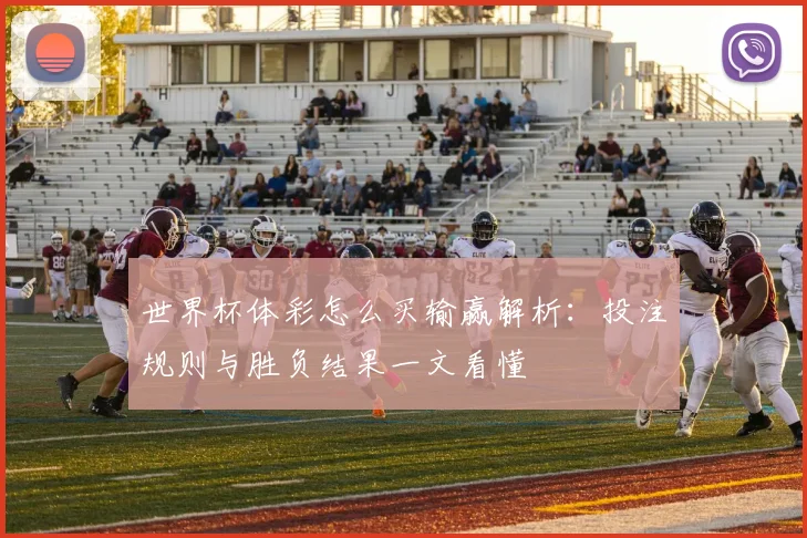 世界杯体彩怎么买输赢解析：投注规则与胜负结果一文看懂